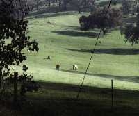 Image of early morning mist on the hills in spring